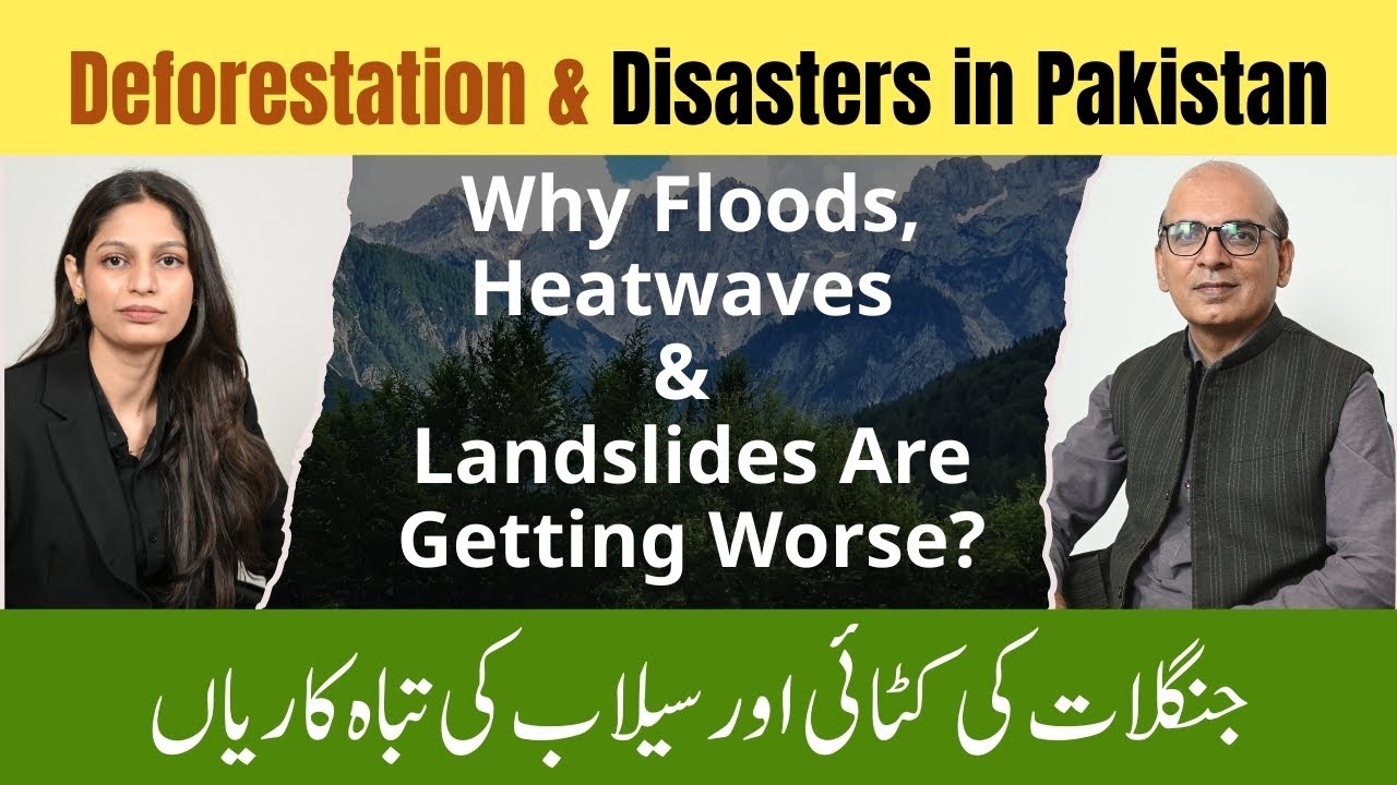 Podcast: Sustainability in the Fashion Industry