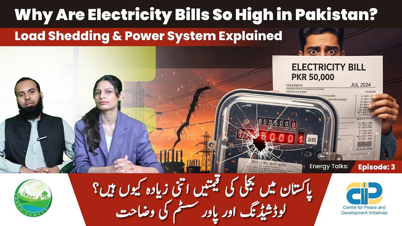 Podcast: The Economic Case for Green Finance